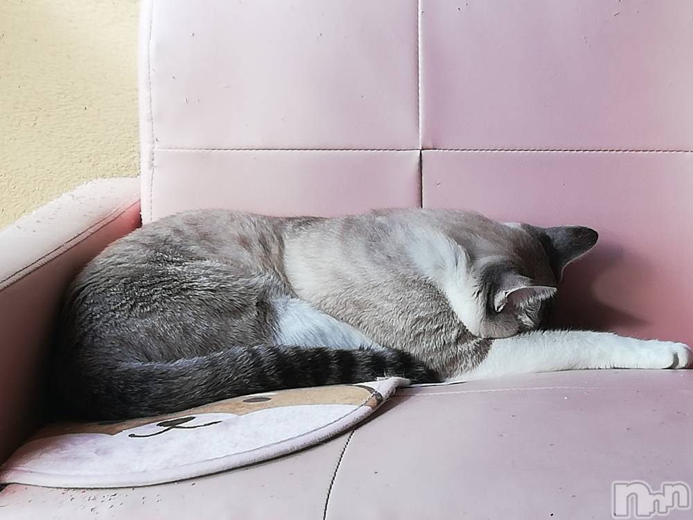 上越デリヘル上越最安値！奥様Deli急便(ジョウエツサイヤスネ！オクサマデリキュウビン) 熟女エロパワー全開　あきほ(54)の11月14日写メブログ「あきほとイチャイチャDAY❤️」