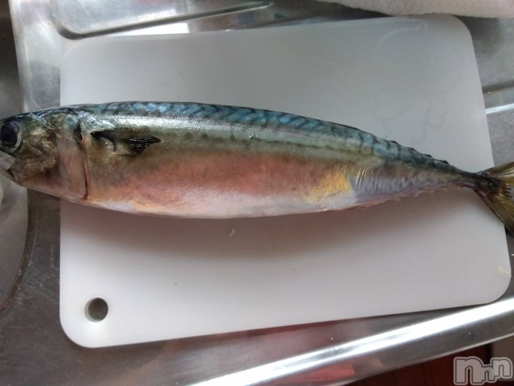 上越デリヘル上越最安値！奥様Deli急便(ジョウエツサイヤスネ！オクサマデリキュウビン) 熟女エロパワー全開　あきほ(54)の5月23日写メブログ「おはようございます(*^^*)今日も1日宜しくね」