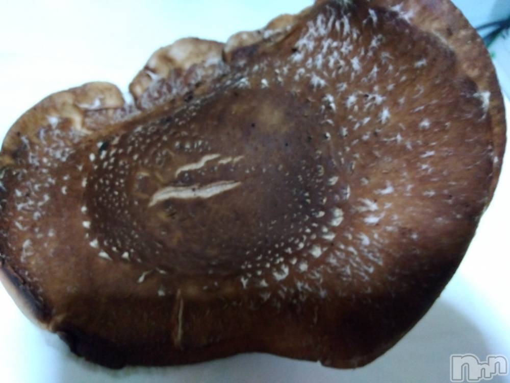 上越デリヘル上越最安値！奥様Deli急便(ジョウエツサイヤスネ！オクサマデリキュウビン) 熟女エロパワー全開　あきほ(54)の11月13日写メブログ「明日から宜しくお願いします」