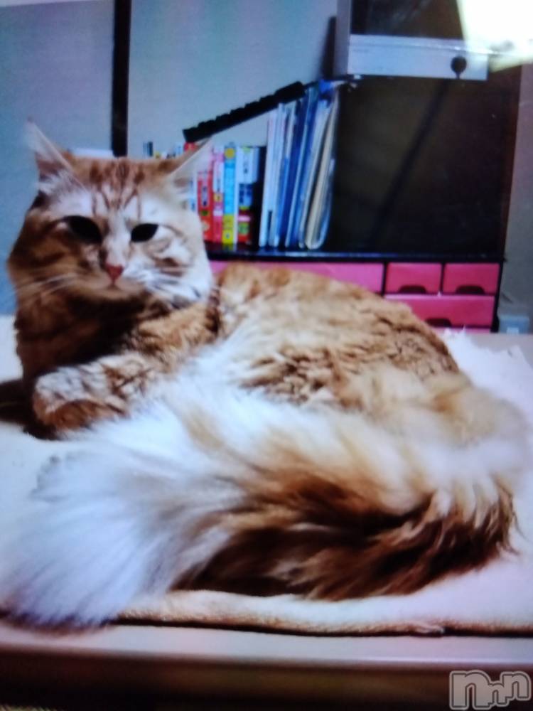 上越デリヘル上越最安値！奥様Deli急便(ジョウエツサイヤスネ！オクサマデリキュウビン) 熟女エロパワー全開　あきほ(54)の11月27日写メブログ「昨日のお客様ありがとうございましたm(_ _)m」