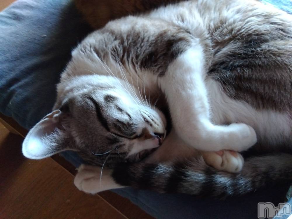 上越デリヘル上越最安値！奥様Deli急便(ジョウエツサイヤスネ！オクサマデリキュウビン) 熟女エロパワー全開　あきほ(54)の12月27日写メブログ「今年最後の〇〇納めに来てね」