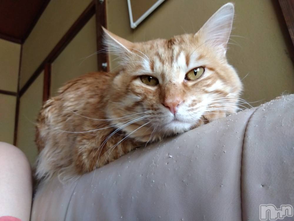 上越デリヘル上越最安値！奥様Deli急便(ジョウエツサイヤスネ！オクサマデリキュウビン) 熟女エロパワー全開　あきほ(54)の5月7日写メブログ「連休明けは」