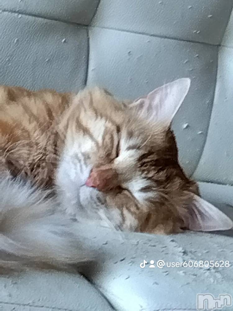 上越デリヘル上越最安値！奥様Deli急便(ジョウエツサイヤスネ！オクサマデリキュウビン) 熟女エロパワー全開　あきほ(54)の5月22日写メブログ「おはようございます」