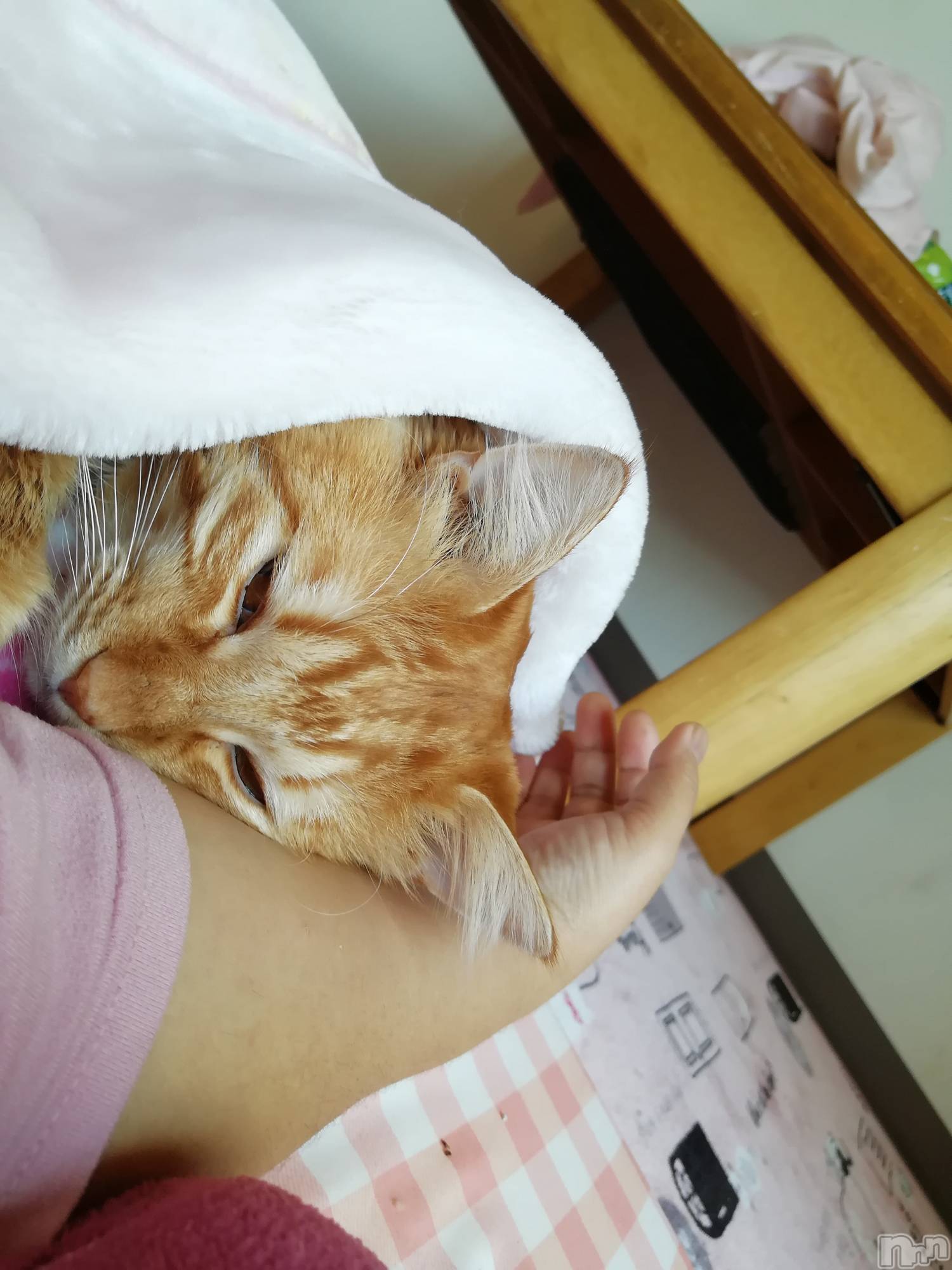 上越デリヘル上越最安値！奥様Deli急便(ジョウエツサイヤスネ！オクサマデリキュウビン)熟女エロパワー全開　あきほ(54)の2020年12月10日写メブログ「今日もどんどんお電話下さいね♡」