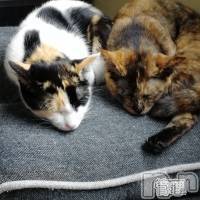 上越デリヘル上越最安値！奥様Deli急便(ジョウエツサイヤスネ！オクサマデリキュウビン)熟女エロパワー全開　あきほ(54)の2020年12月15日写メブログ「寒いね！」