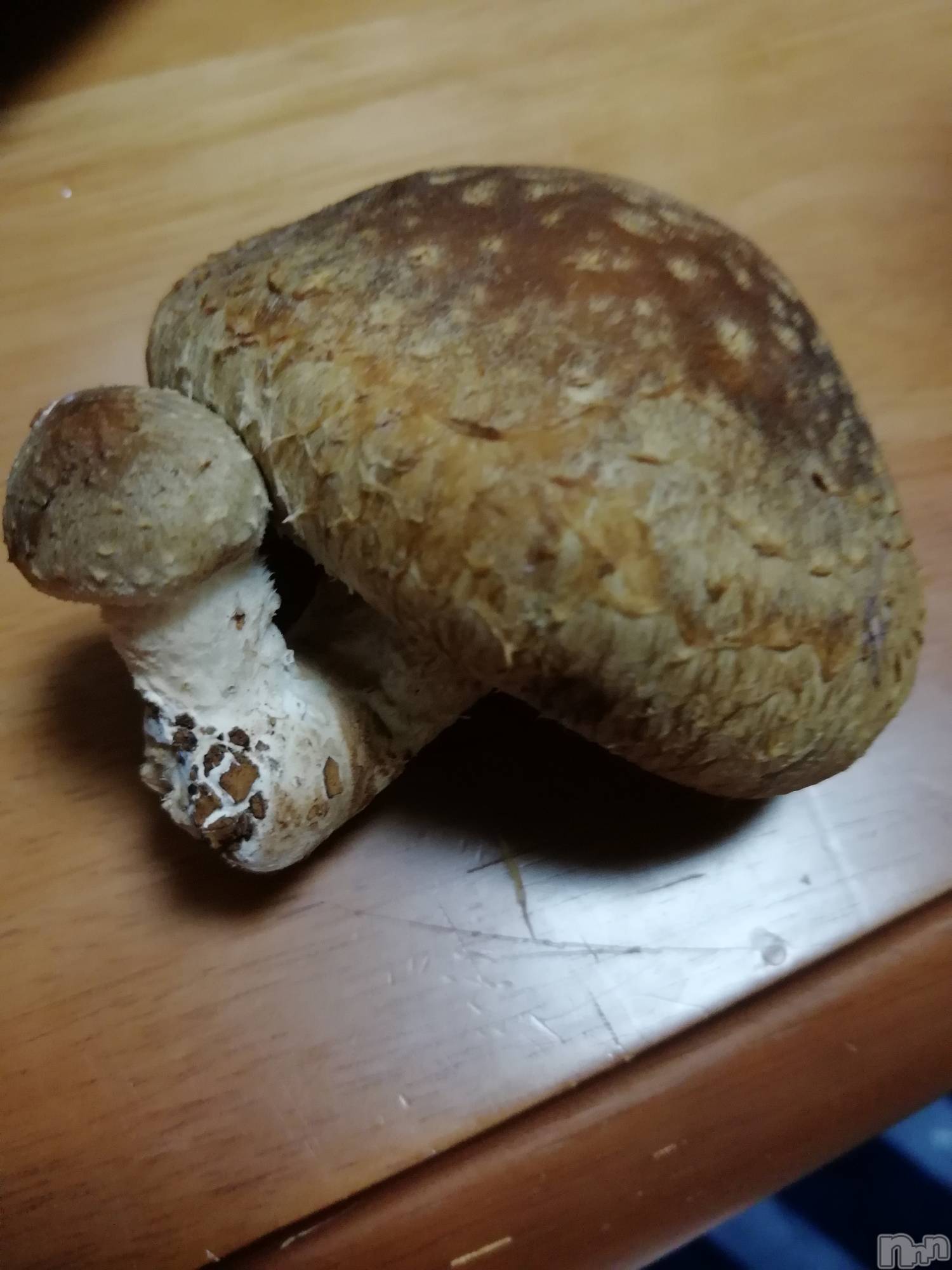 上越デリヘル上越最安値！奥様Deli急便(ジョウエツサイヤスネ！オクサマデリキュウビン)熟女エロパワー全開　あきほ(54)の2021年1月4日写メブログ「しいたけ笑」