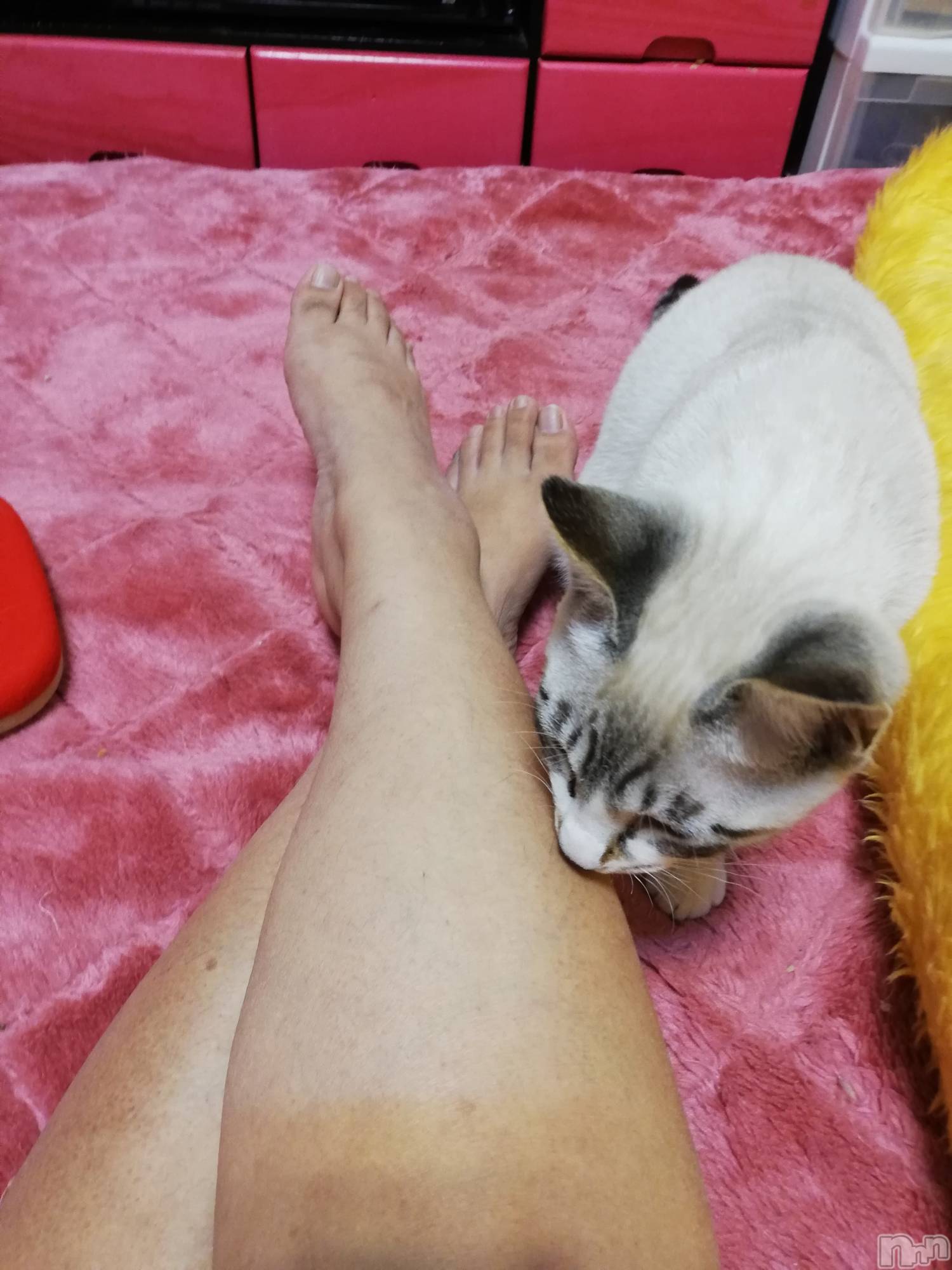 上越デリヘル上越最安値！奥様Deli急便(ジョウエツサイヤスネ！オクサマデリキュウビン)熟女エロパワー全開　あきほ(54)の2022年4月1日写メブログ「あきほとラブラブしよ♡♡♡♡♡」