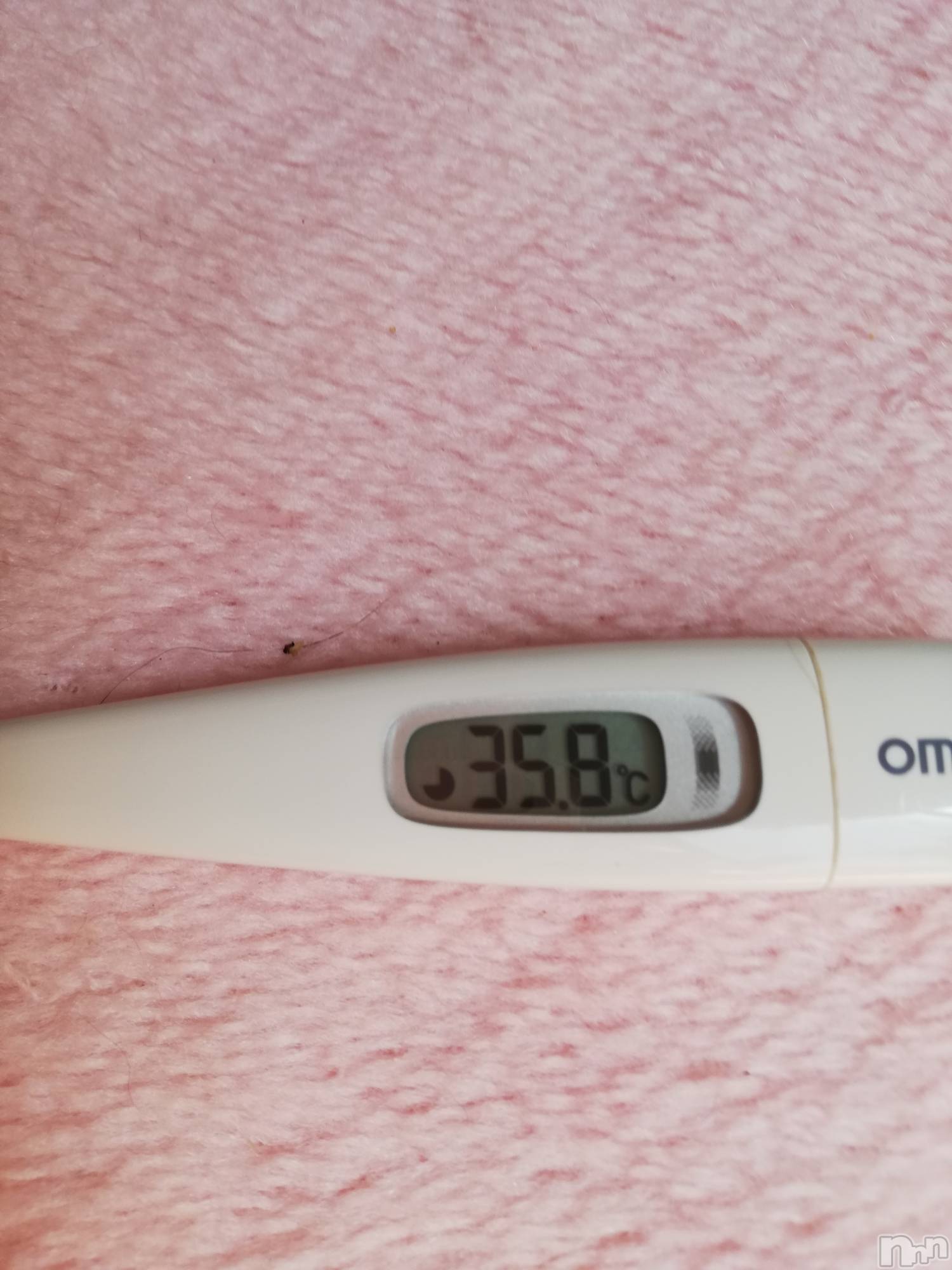 上越デリヘル上越最安値！奥様Deli急便(ジョウエツサイヤスネ！オクサマデリキュウビン)熟女エロパワー全開　あきほ(54)の2022年4月12日写メブログ「今日もあきほとイチャイチャタイムしよ」