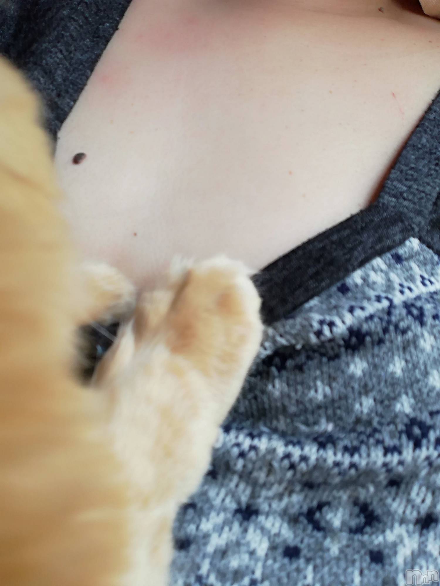 上越デリヘル上越最安値！奥様Deli急便(ジョウエツサイヤスネ！オクサマデリキュウビン)熟女エロパワー全開　あきほ(54)の2022年4月15日写メブログ「そろそろ出勤の準備して会いに行くよ(*^^*)」