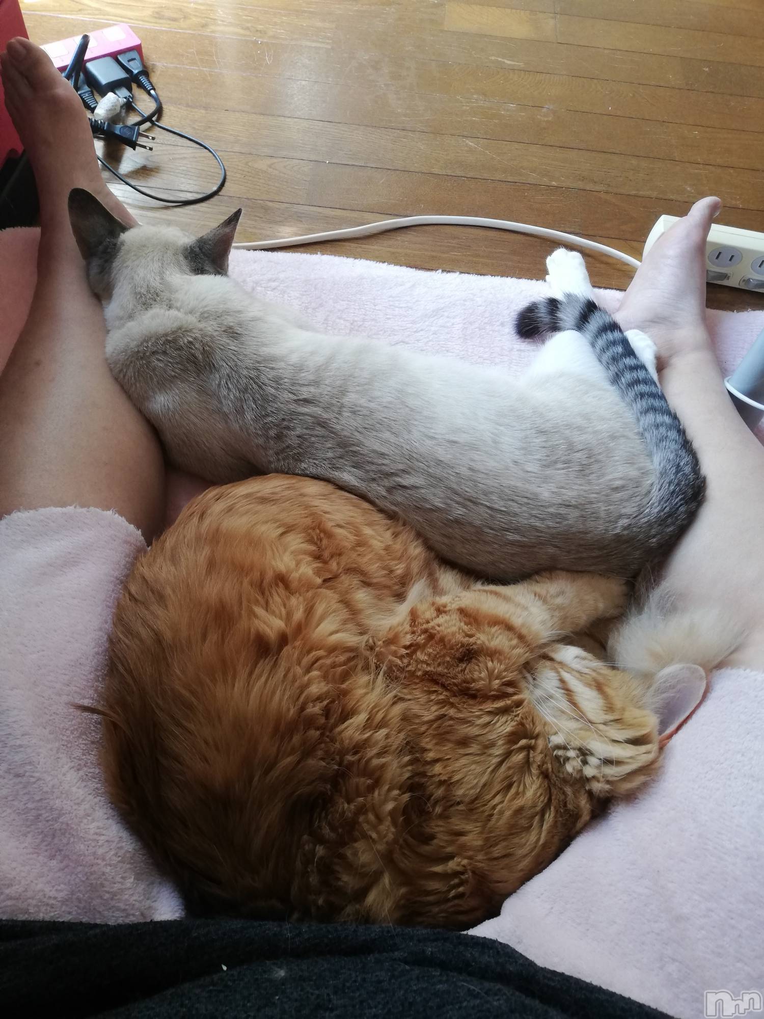 上越デリヘル上越最安値！奥様Deli急便(ジョウエツサイヤスネ！オクサマデリキュウビン)熟女エロパワー全開　あきほ(54)の2022年5月1日写メブログ「明日のロングのご予約ありがとうございます。」