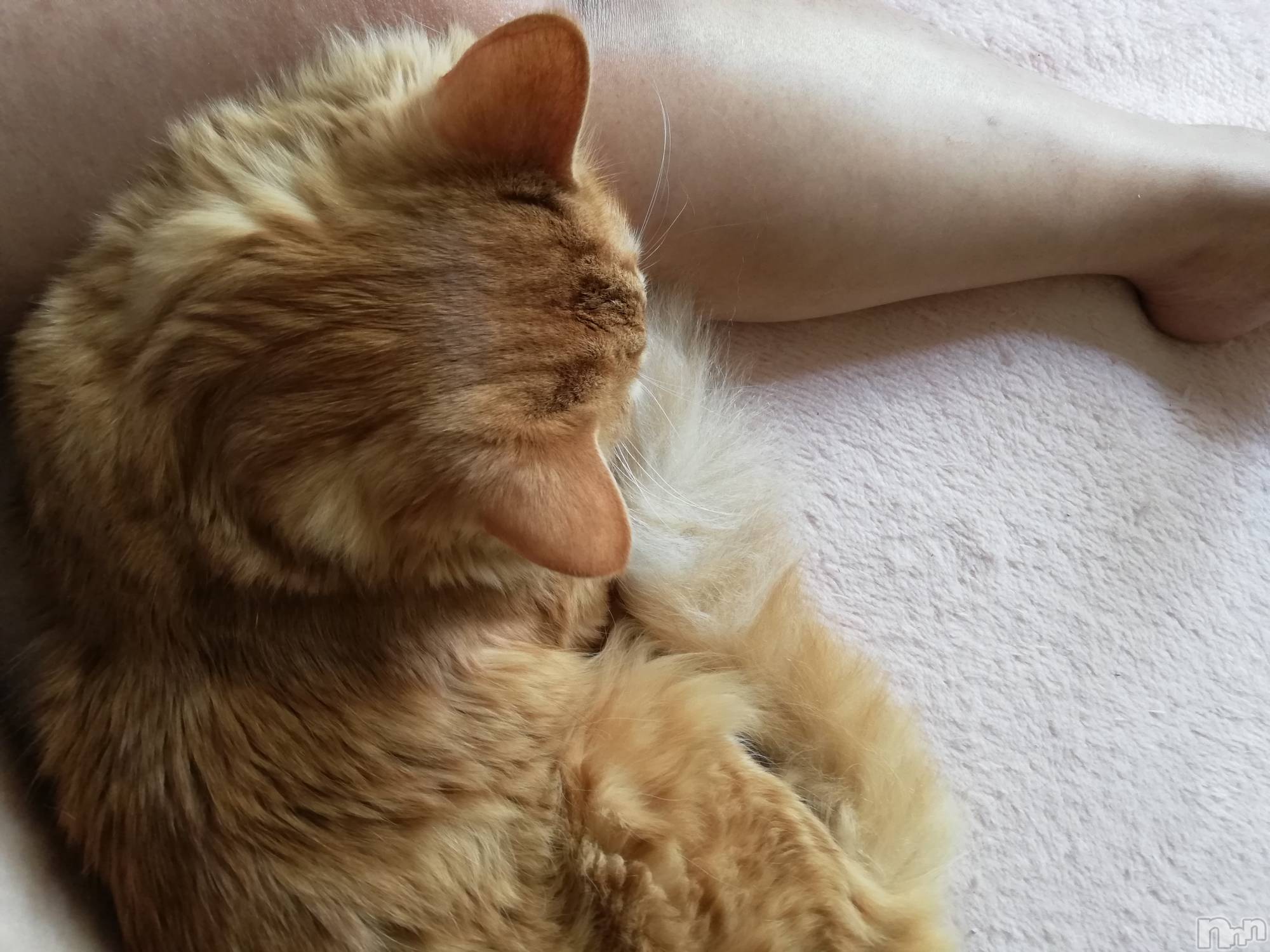 上越デリヘル上越最安値！奥様Deli急便(ジョウエツサイヤスネ！オクサマデリキュウビン)熟女エロパワー全開　あきほ(54)の2022年5月16日写メブログ「今日から時間短くなったよ！」