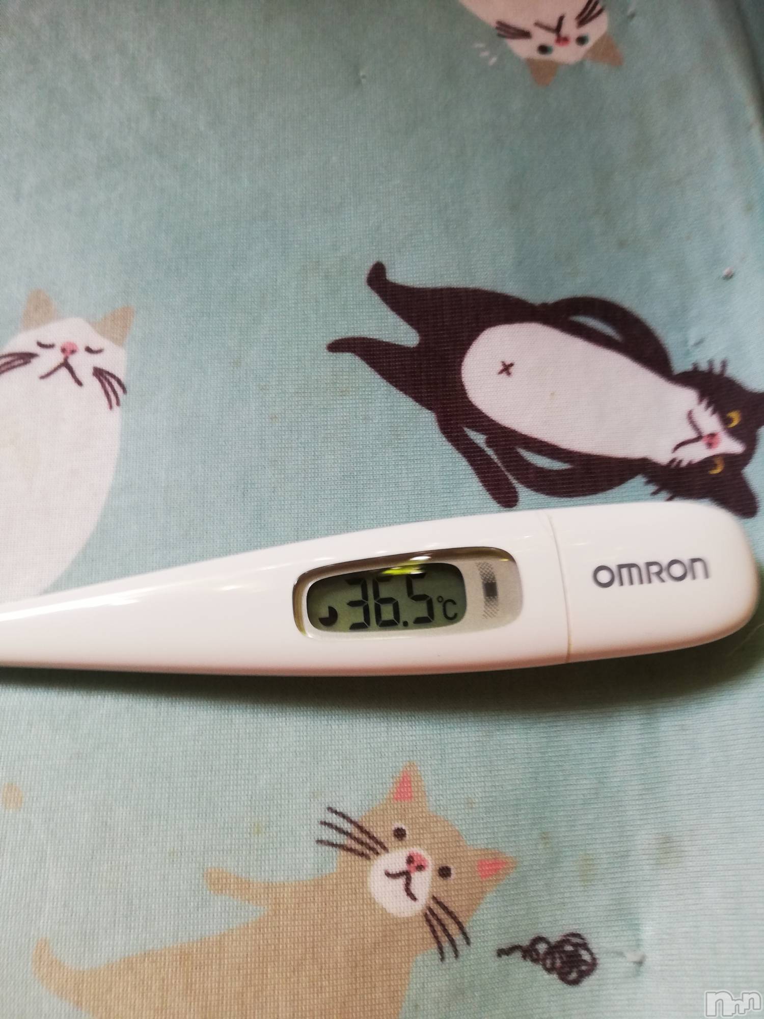 上越デリヘル上越最安値！奥様Deli急便(ジョウエツサイヤスネ！オクサマデリキュウビン)熟女エロパワー全開　あきほ(54)の2022年6月24日写メブログ「こんにちは☺️」