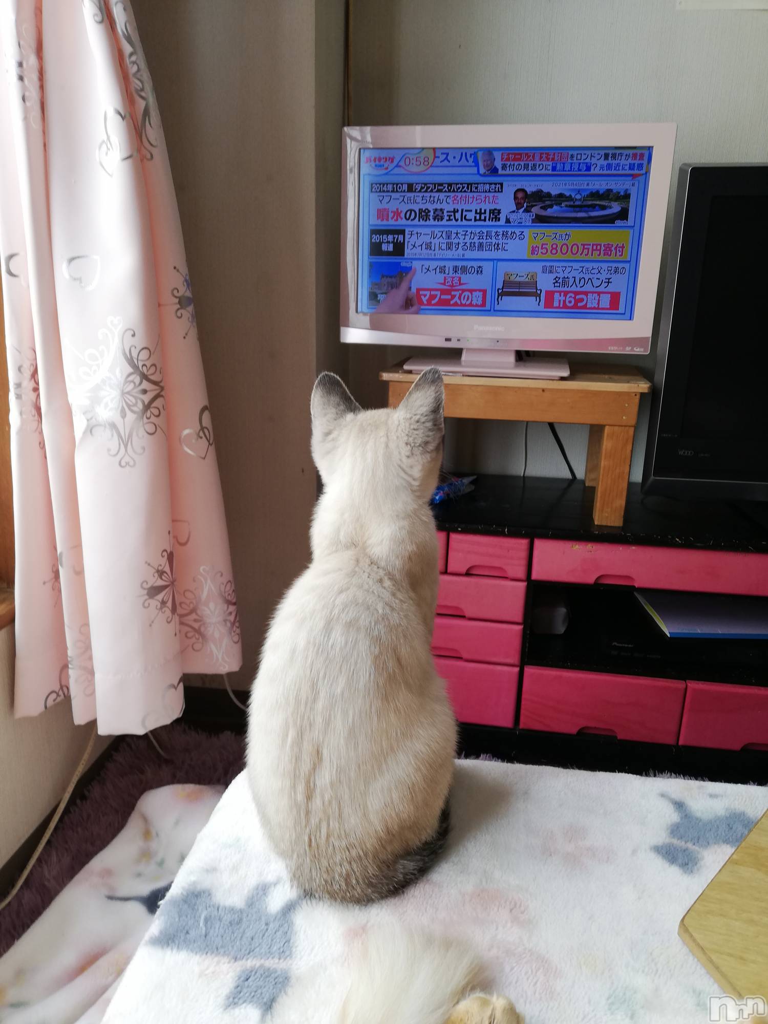 上越デリヘル上越最安値！奥様Deli急便(ジョウエツサイヤスネ！オクサマデリキュウビン)熟女エロパワー全開　あきほ(54)の2022年6月28日写メブログ「今日も会いに来てね❤️」