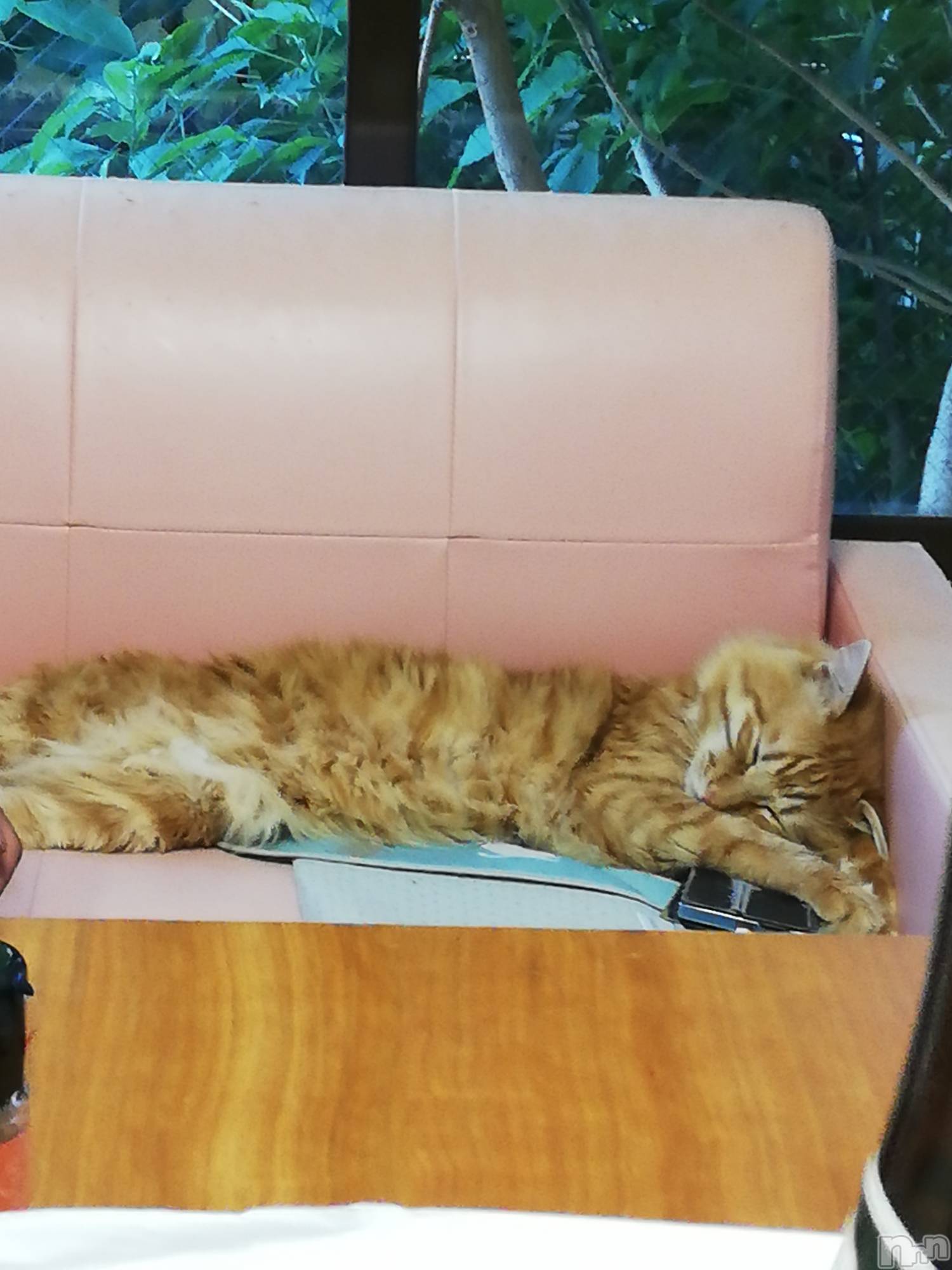 上越デリヘル上越最安値！奥様Deli急便(ジョウエツサイヤスネ！オクサマデリキュウビン)熟女エロパワー全開　あきほ(54)の2022年7月22日写メブログ「12時から24時迄出勤するのでお電話待ってます❤️」