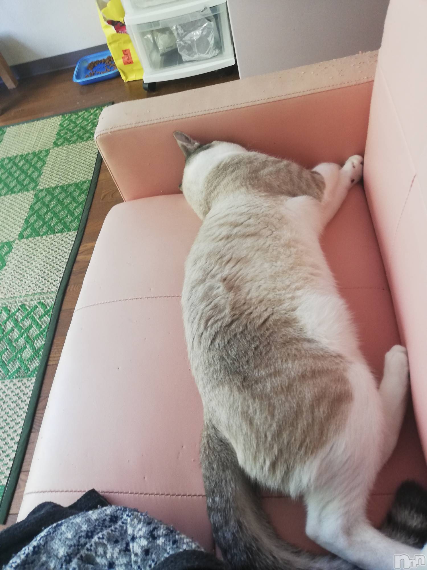 上越デリヘル上越最安値！奥様Deli急便(ジョウエツサイヤスネ！オクサマデリキュウビン)熟女エロパワー全開　あきほ(54)の2022年8月2日写メブログ「まだまだ時間あるよ！」