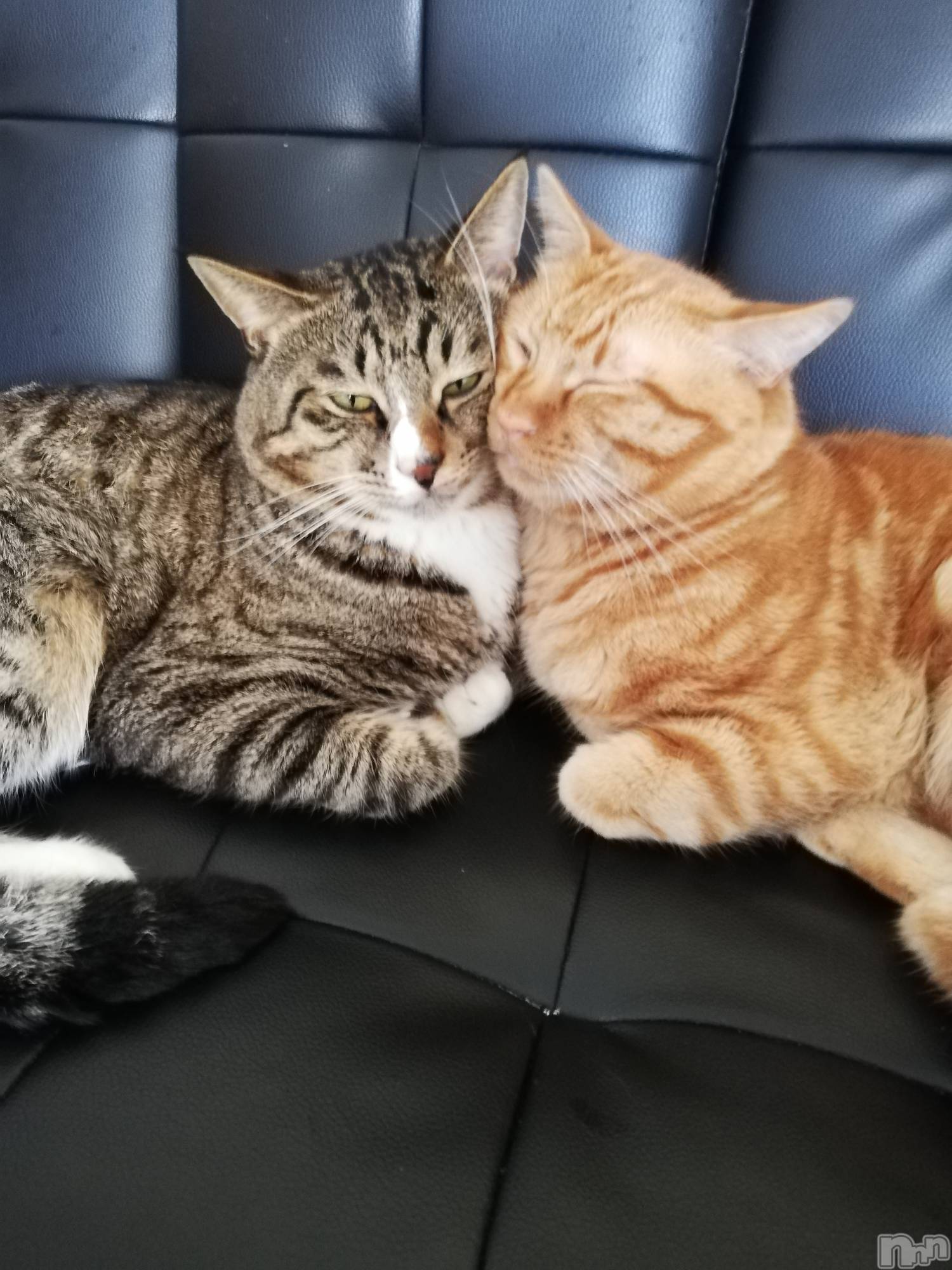 上越デリヘル上越最安値！奥様Deli急便(ジョウエツサイヤスネ！オクサマデリキュウビン)熟女エロパワー全開　あきほ(54)の2022年8月23日写メブログ「あきほが癒す番です😉」