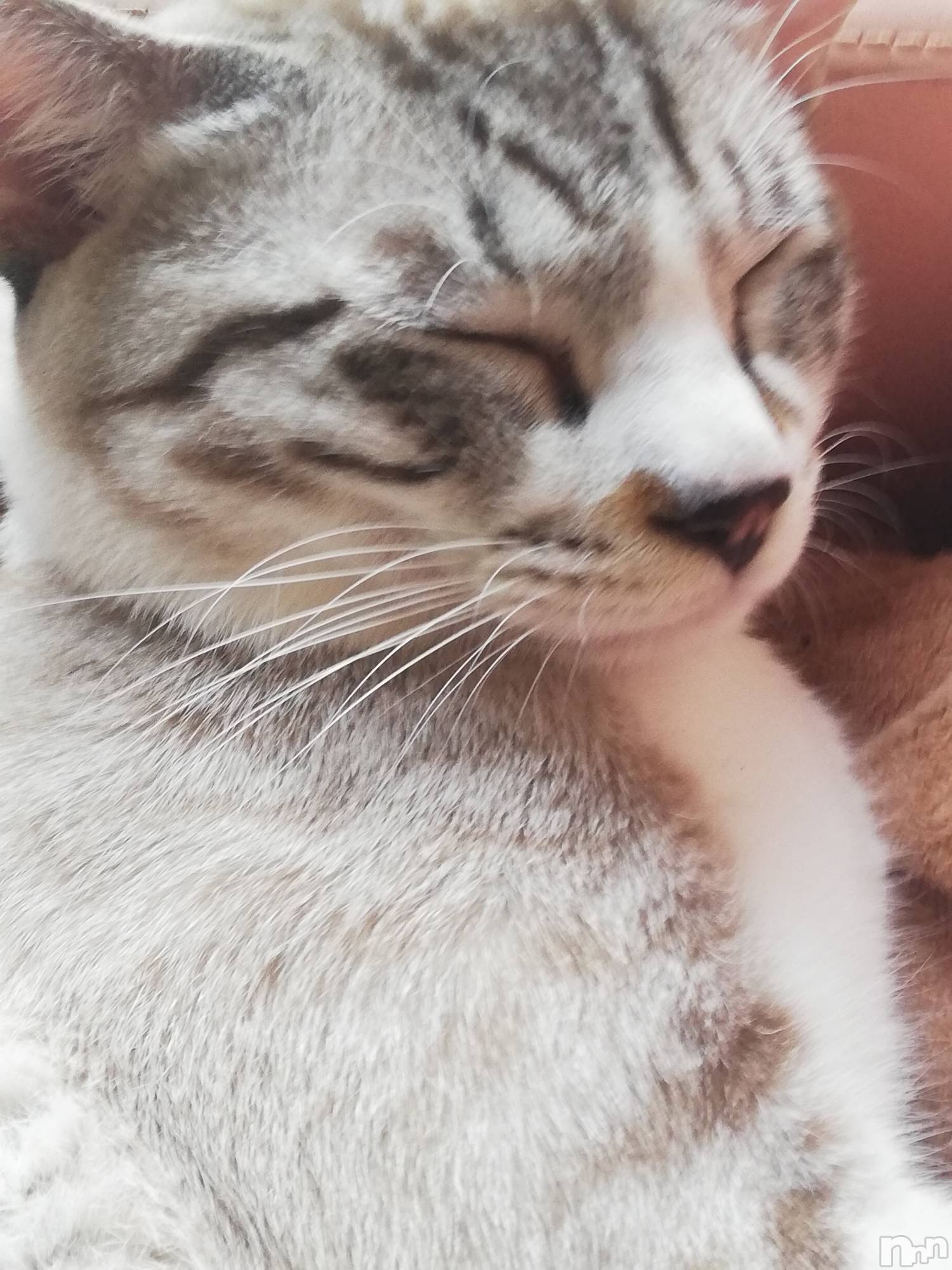 上越デリヘル上越最安値！奥様Deli急便(ジョウエツサイヤスネ！オクサマデリキュウビン)熟女エロパワー全開　あきほ(54)の2022年9月17日写メブログ「今日も出勤するのでお電話待ってます❤️」