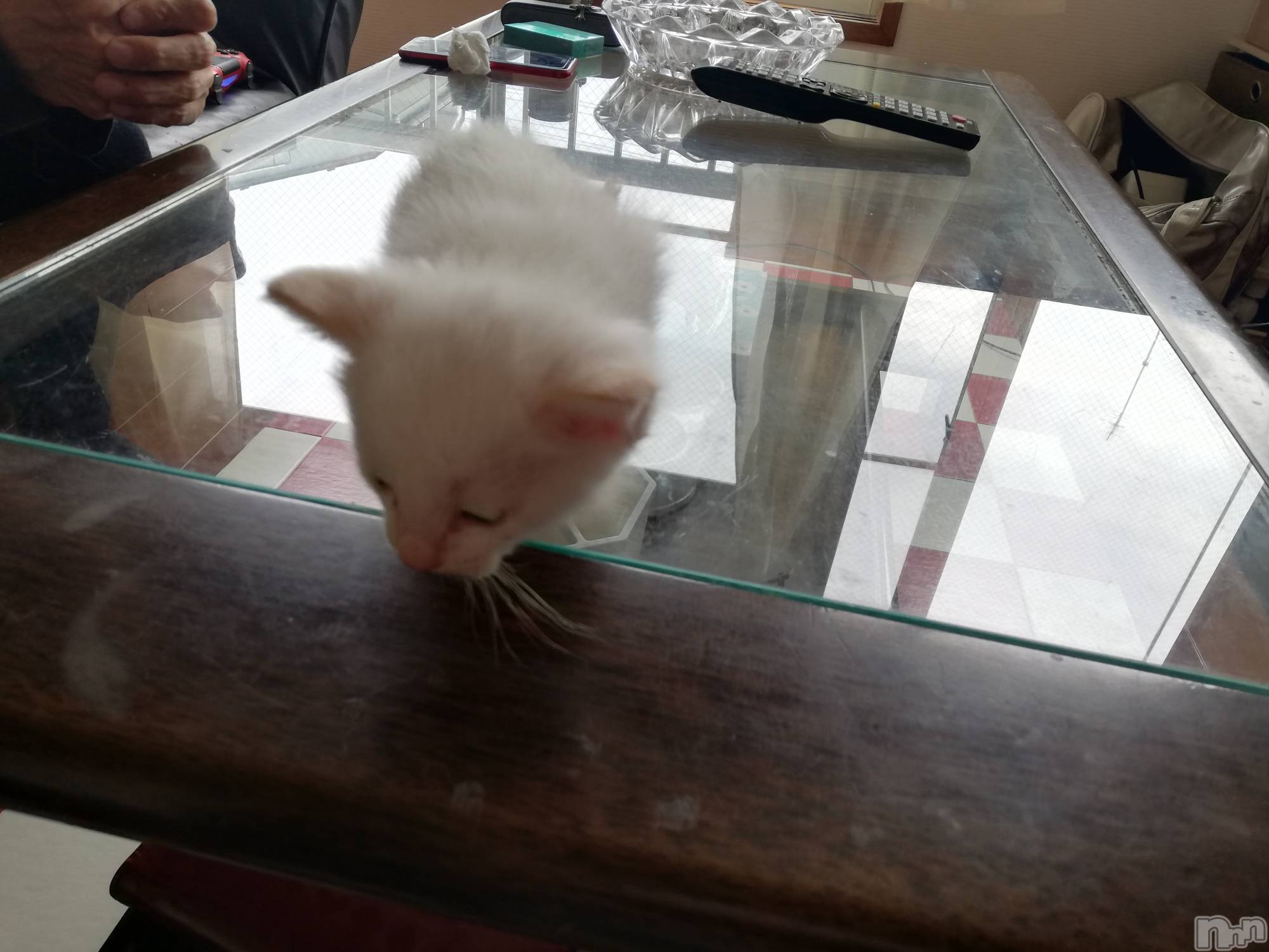 上越デリヘル上越最安値！奥様Deli急便(ジョウエツサイヤスネ！オクサマデリキュウビン)熟女エロパワー全開　あきほ(54)の2022年9月28日写メブログ「昨日のロングのお客様ありがとうございました❤️」