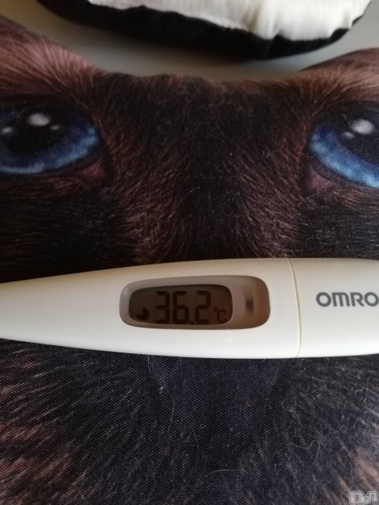 上越デリヘル上越最安値！奥様Deli急便(ジョウエツサイヤスネ！オクサマデリキュウビン)熟女エロパワー全開　あきほ(54)の2022年9月29日写メブログ「おはよう☀️🙋❗急遽出勤します❤️」