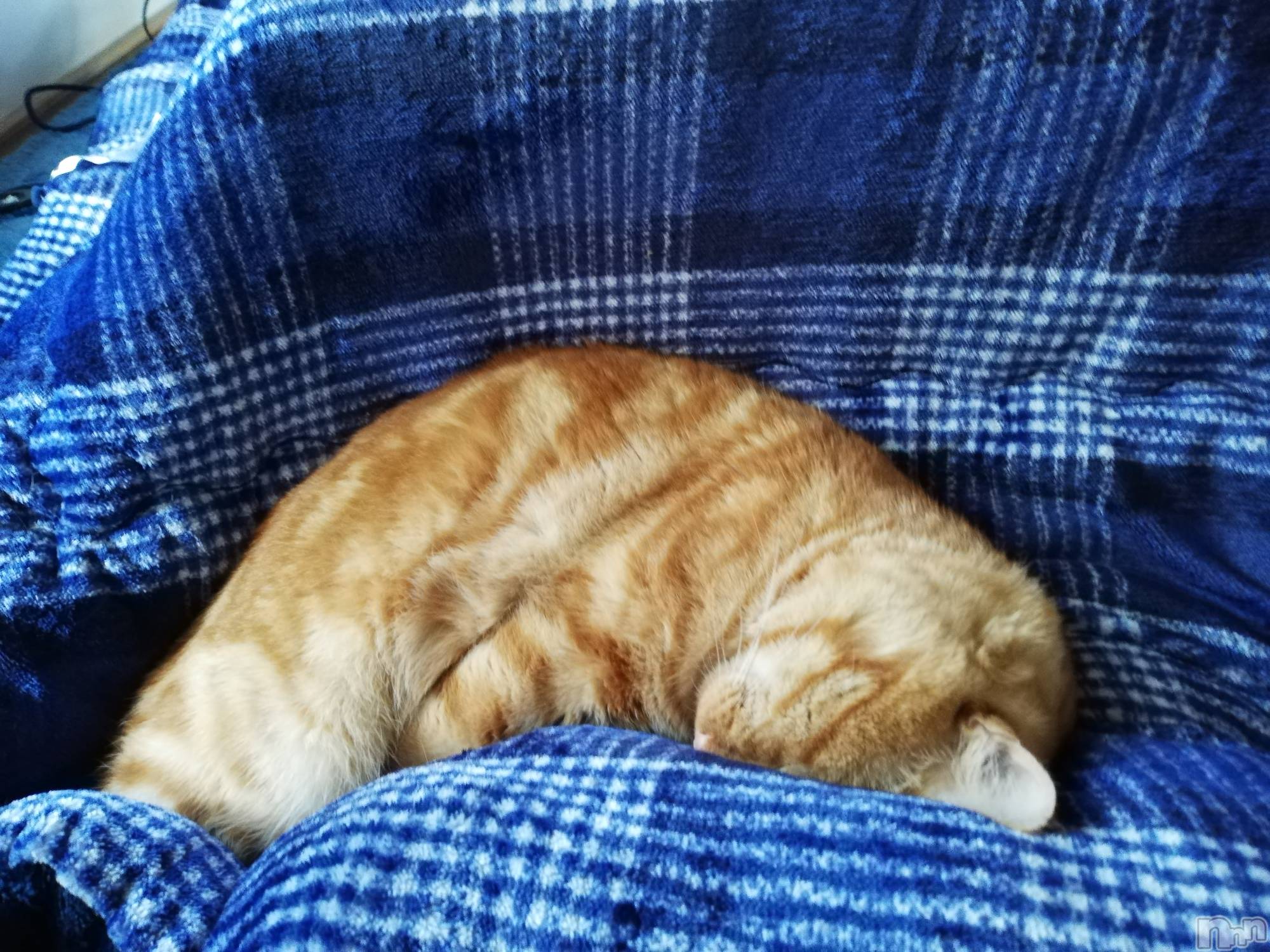 上越デリヘル上越最安値！奥様Deli急便(ジョウエツサイヤスネ！オクサマデリキュウビン)熟女エロパワー全開　あきほ(54)の2022年10月18日写メブログ「熟女と遊びませんか？損はさせないよ🎵」