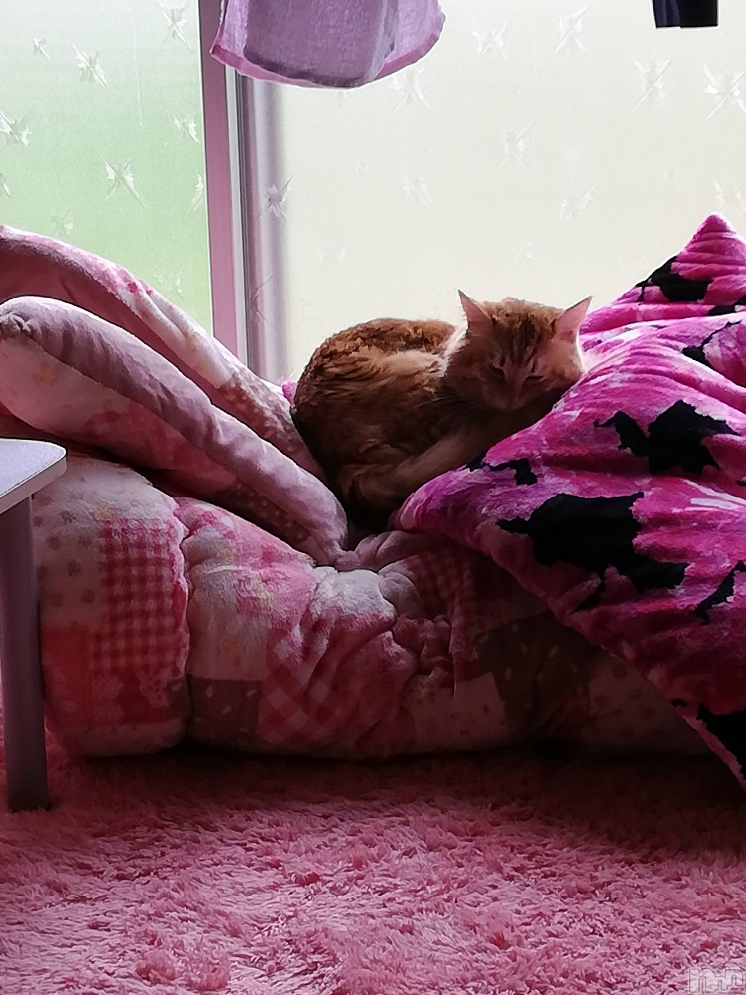 上越デリヘル上越最安値！奥様Deli急便(ジョウエツサイヤスネ！オクサマデリキュウビン)熟女エロパワー全開　あきほ(54)の2022年10月23日写メブログ「今日はお休みです🙏休肝日W」