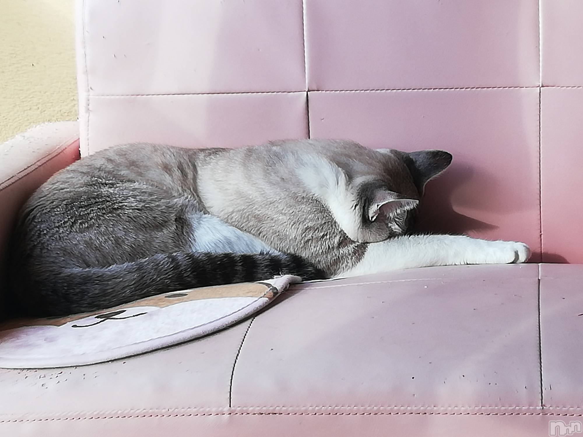 上越デリヘル上越最安値！奥様Deli急便(ジョウエツサイヤスネ！オクサマデリキュウビン)熟女エロパワー全開　あきほ(54)の2022年11月2日写メブログ「さっそく口開けのご予約ありがとうございます☺️」