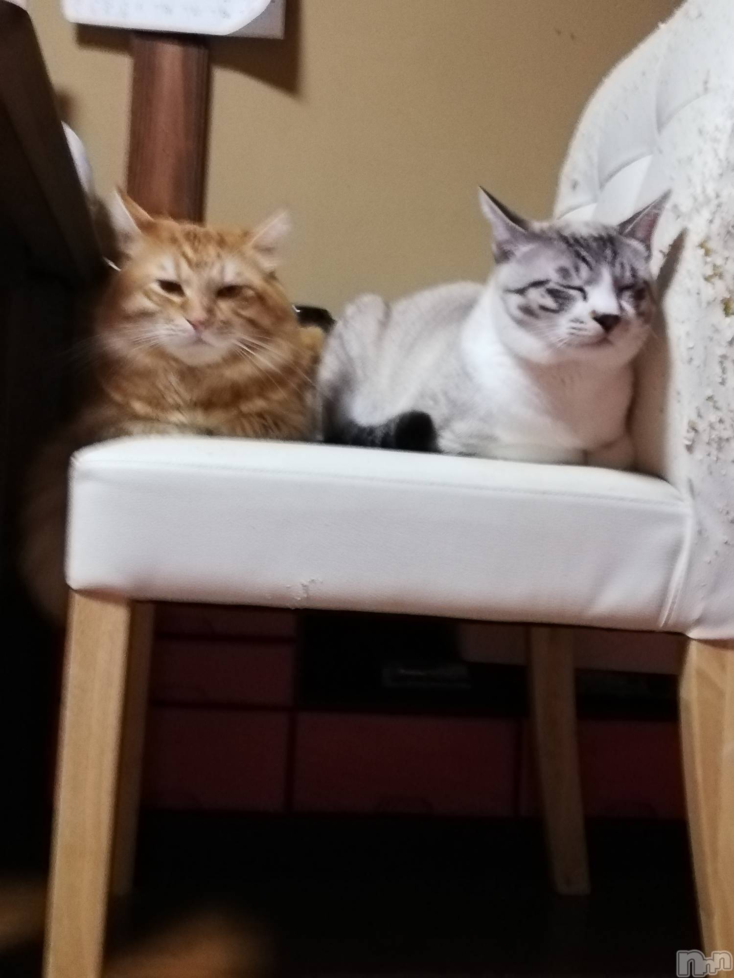 上越デリヘル上越最安値！奥様Deli急便(ジョウエツサイヤスネ！オクサマデリキュウビン)熟女エロパワー全開　あきほ(54)の2022年11月6日写メブログ「日曜日は早く目が覚めちゃう😉」