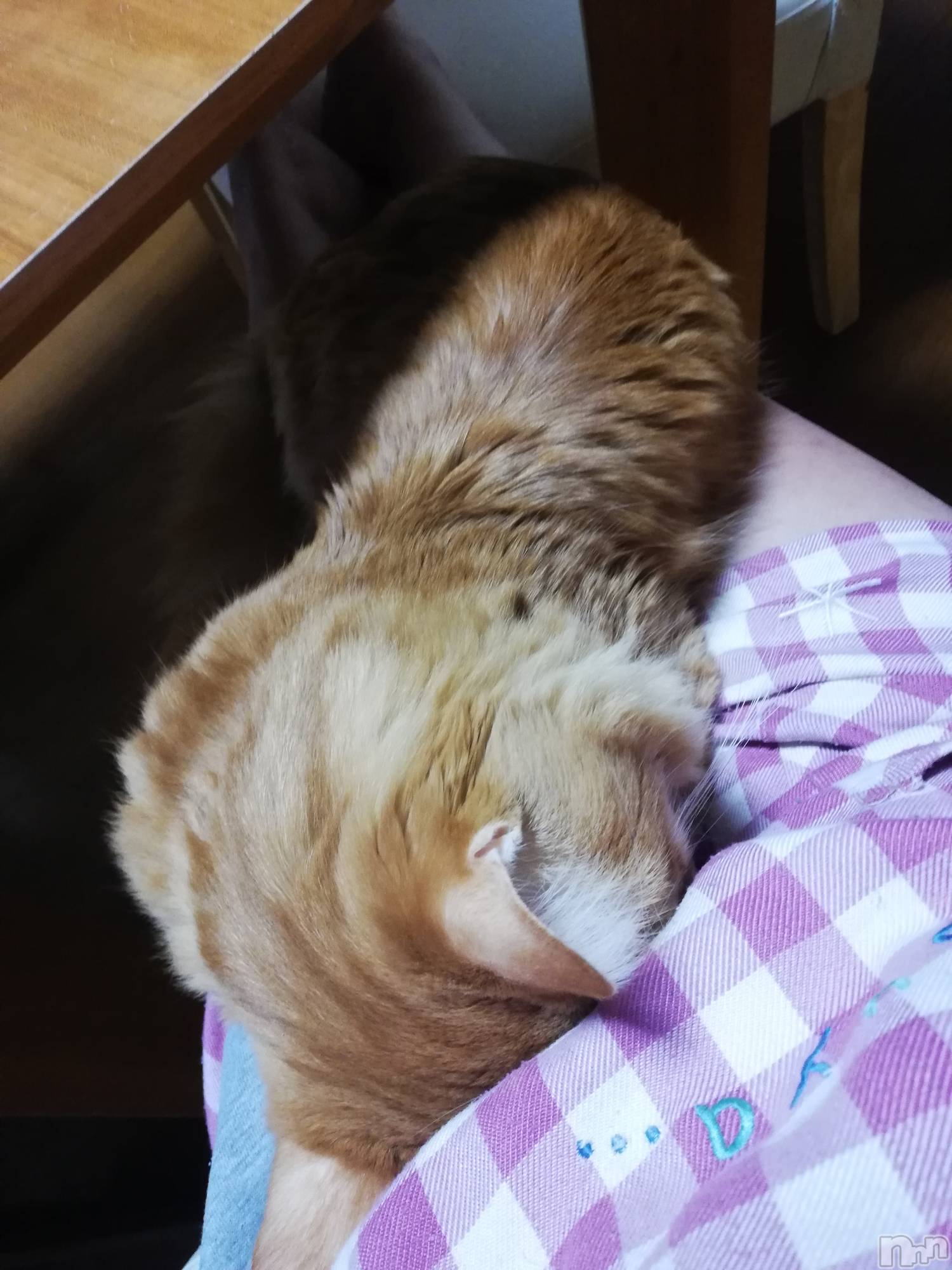 上越デリヘル上越最安値！奥様Deli急便(ジョウエツサイヤスネ！オクサマデリキュウビン)熟女エロパワー全開　あきほ(54)の2022年11月11日写メブログ「おはようございます☺️熟女と……」