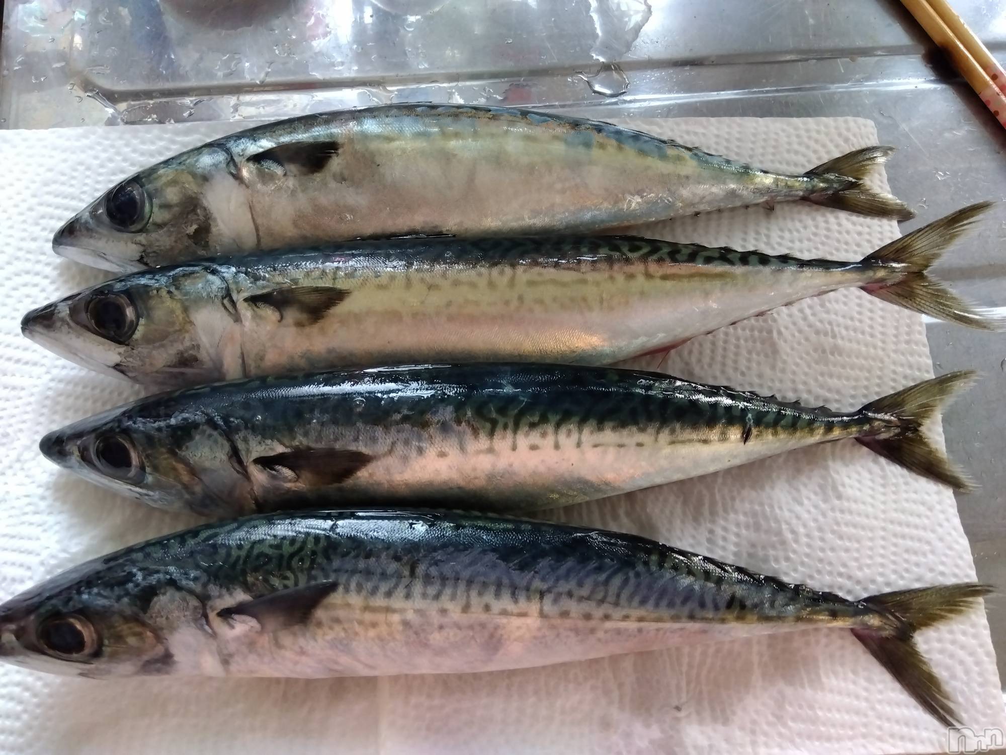 上越デリヘル上越最安値！奥様Deli急便(ジョウエツサイヤスネ！オクサマデリキュウビン)熟女エロパワー全開　あきほ(54)の2023年7月5日写メブログ「ロング予約ありがとう」