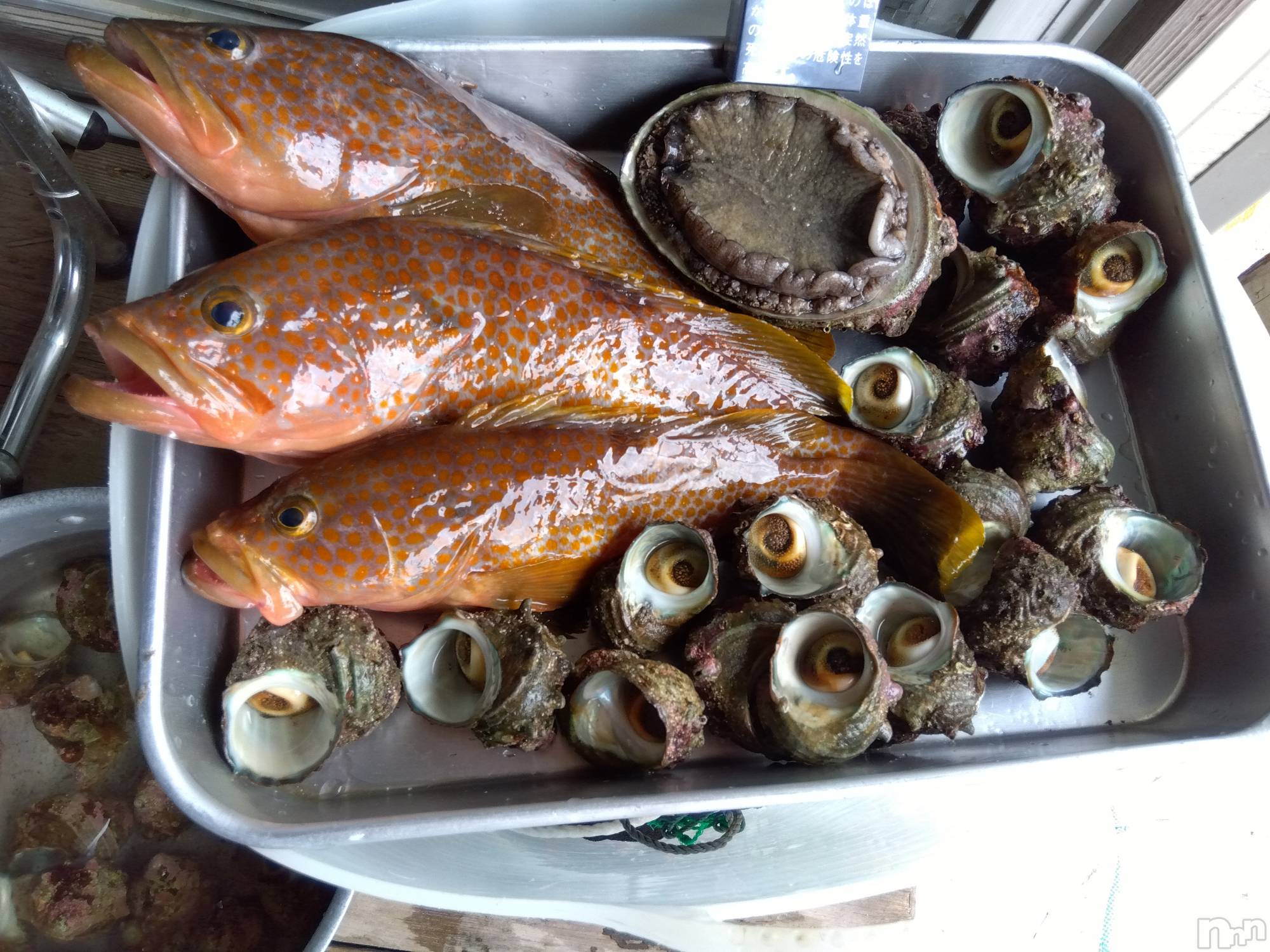 上越デリヘル上越最安値！奥様Deli急便(ジョウエツサイヤスネ！オクサマデリキュウビン)熟女エロパワー全開　あきほ(54)の2023年8月17日写メブログ「久しぶりの出勤」