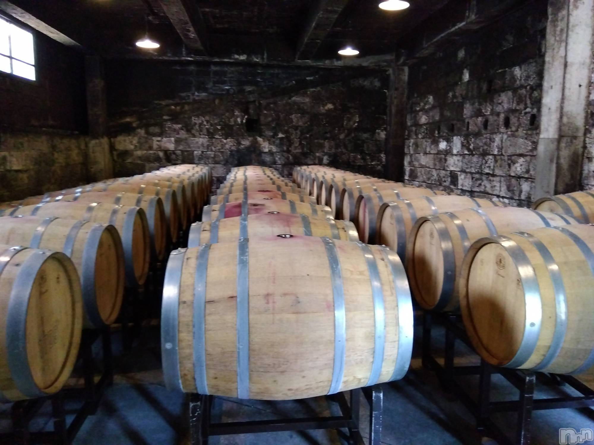 上越デリヘル上越最安値！奥様Deli急便(ジョウエツサイヤスネ！オクサマデリキュウビン)熟女エロパワー全開　あきほ(54)の2023年8月21日写メブログ「おはようございます(*^^*)」