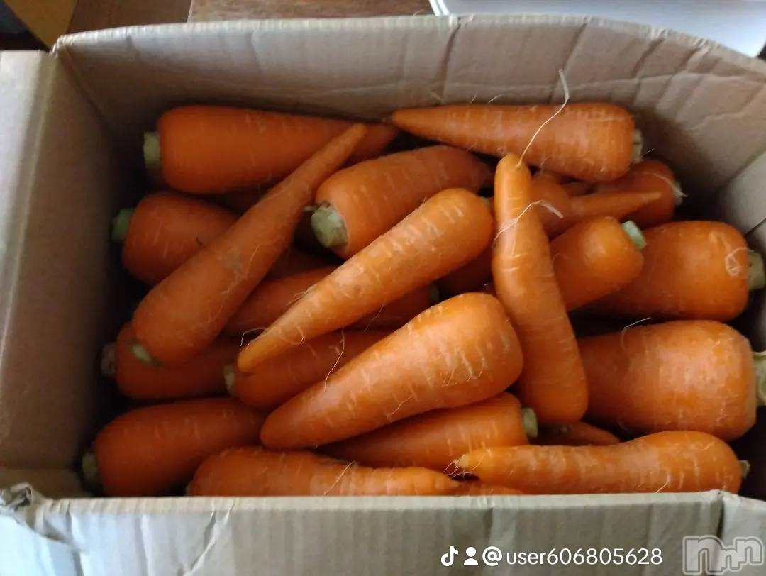 上越デリヘル上越最安値！奥様Deli急便(ジョウエツサイヤスネ！オクサマデリキュウビン)熟女エロパワー全開　あきほ(54)の2025年6月15日写メブログ「今までありがとうございました」