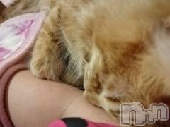上越デリヘル上越最安値！奥様Deli急便(ジョウエツサイヤスネ！オクサマデリキュウビン) 熟女エロパワー全開　あきほ(54)の12月8日写メブログ「出勤中♡♡」