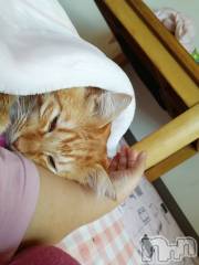 上越デリヘル上越最安値！奥様Deli急便(ジョウエツサイヤスネ！オクサマデリキュウビン) 熟女エロパワー全開　あきほ(54)の12月10日写メブログ「今日もどんどんお電話下さいね♡」