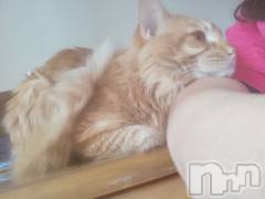 上越デリヘル上越最安値！奥様Deli急便(ジョウエツサイヤスネ！オクサマデリキュウビン) 熟女エロパワー全開　あきほ(54)の4月14日写メブログ「あきほとラブラブしよ♡♡♡♡♡」