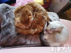 上越デリヘル上越最安値！奥様Deli急便(ジョウエツサイヤスネ！オクサマデリキュウビン) 熟女エロパワー全開　あきほ(54)の4月18日写メブログ「可愛い熟女と遊びませんか」