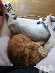 上越デリヘル上越最安値！奥様Deli急便(ジョウエツサイヤスネ！オクサマデリキュウビン) 熟女エロパワー全開　あきほ(54)の5月1日写メブログ「明日のロングのご予約ありがとうございます。」