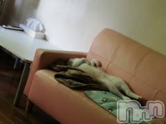 上越デリヘル上越最安値！奥様Deli急便(ジョウエツサイヤスネ！オクサマデリキュウビン) 熟女エロパワー全開　あきほ(54)の6月21日写メブログ「熟女が癒します(*^^*)」