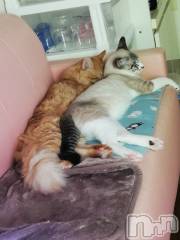 上越デリヘル上越最安値！奥様Deli急便(ジョウエツサイヤスネ！オクサマデリキュウビン) 熟女エロパワー全開　あきほ(54)の6月22日写メブログ「毎日暑い中お疲れ様😌💓」