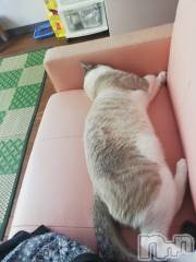 上越デリヘル上越最安値！奥様Deli急便(ジョウエツサイヤスネ！オクサマデリキュウビン) 熟女エロパワー全開　あきほ(54)の8月2日写メブログ「まだまだ時間あるよ！」