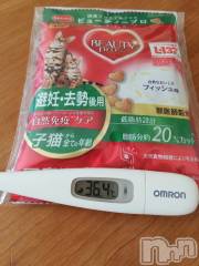 上越デリヘル上越最安値！奥様Deli急便(ジョウエツサイヤスネ！オクサマデリキュウビン) 熟女エロパワー全開　あきほ(54)の8月16日写メブログ「おはようございます。宜しくね♡」