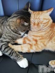 上越デリヘル上越最安値！奥様Deli急便(ジョウエツサイヤスネ！オクサマデリキュウビン) 熟女エロパワー全開　あきほ(54)の8月22日写メブログ「そろそろ出勤の準備して会いに行くよ(*^^*)」