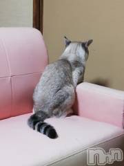 上越デリヘル上越最安値！奥様Deli急便(ジョウエツサイヤスネ！オクサマデリキュウビン) 熟女エロパワー全開　あきほ(54)の9月27日写メブログ「今日は急遽、出勤します☺️」