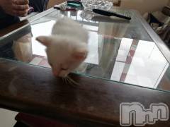 上越デリヘル上越最安値！奥様Deli急便(ジョウエツサイヤスネ！オクサマデリキュウビン) 熟女エロパワー全開　あきほ(54)の9月28日写メブログ「昨日のロングのお客様ありがとうございました❤️」