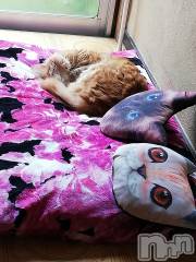 上越デリヘル上越最安値！奥様Deli急便(ジョウエツサイヤスネ！オクサマデリキュウビン) 熟女エロパワー全開　あきほ(54)の10月17日写メブログ「人肌恋しい季節」