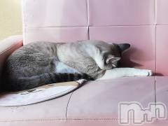 上越デリヘル上越最安値！奥様Deli急便(ジョウエツサイヤスネ！オクサマデリキュウビン) 熟女エロパワー全開　あきほ(54)の11月2日写メブログ「さっそく口開けのご予約ありがとうございます☺️」