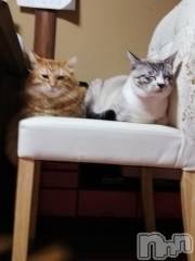 上越デリヘル上越最安値！奥様Deli急便(ジョウエツサイヤスネ！オクサマデリキュウビン) 熟女エロパワー全開　あきほ(54)の11月6日写メブログ「日曜日は早く目が覚めちゃう😉」