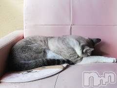 上越デリヘル上越最安値！奥様Deli急便(ジョウエツサイヤスネ！オクサマデリキュウビン) 熟女エロパワー全開　あきほ(54)の11月14日写メブログ「あきほとイチャイチャDAY❤️」