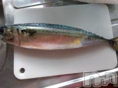 上越デリヘル上越最安値！奥様Deli急便(ジョウエツサイヤスネ！オクサマデリキュウビン) 熟女エロパワー全開　あきほ(54)の5月23日写メブログ「おはようございます(*^^*)今日も1日宜しくね」