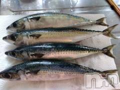 上越デリヘル上越最安値！奥様Deli急便(ジョウエツサイヤスネ！オクサマデリキュウビン) 熟女エロパワー全開　あきほ(54)の7月5日写メブログ「ロング予約ありがとう」